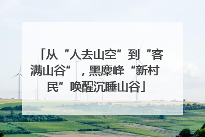 从“人去山空”到“客满山谷”，黑麋峰“新村民”唤醒沉睡山谷
