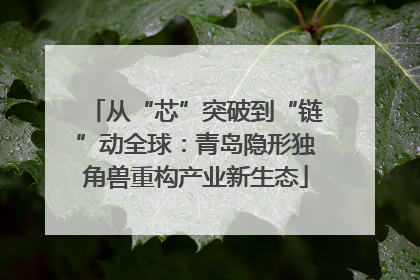 从“芯”突破到“链”动全球：青岛隐形独角兽重构产业新生态