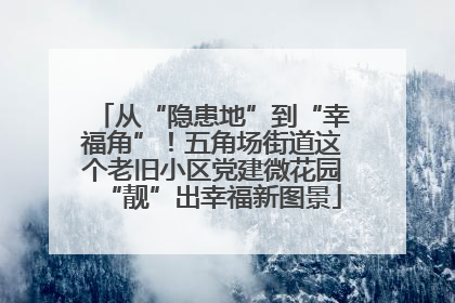 从“隐患地”到“幸福角”！五角场街道这个老旧小区党建微花园“靓”出幸福新图景