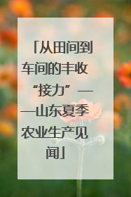 从田间到车间的丰收“接力”——山东夏季农业生产见闻