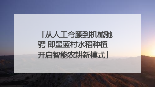 从人工弯腰到机械驰骋 即墨蓝村水稻种植开启智能农耕新模式