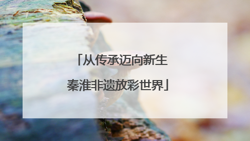 从传承迈向新生 秦淮非遗放彩世界