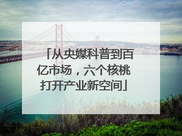 从央媒科普到百亿市场，六个核桃打开产业新空间