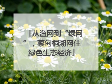 从渔网到“绿网”，蔡甸桐湖网住绿色生态经济