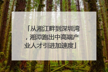从湘江畔到深圳湾，湘潭跑出中高端产业人才引进加速度