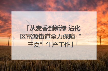 从麦香到新绿 沾化区富源街道全力保障“三夏”生产工作