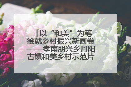 以“和美”为笔 绘就乡村振兴新画卷——孝南朋兴乡丹阳古镇和美乡村示范片区建设综述