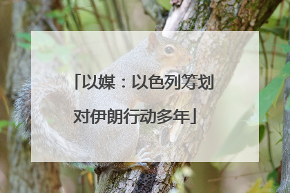 以媒：以色列筹划对伊朗行动多年