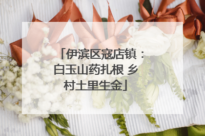 伊滨区寇店镇：白玉山药扎根 乡村土里生金