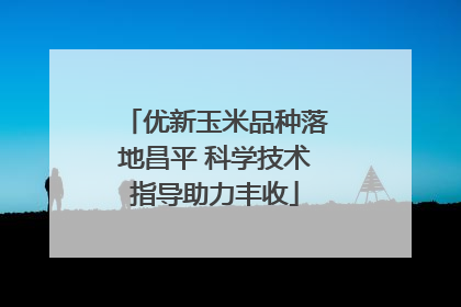 优新玉米品种落地昌平 科学技术指导助力丰收