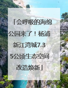 会呼吸的海绵公园来了！杨浦新江湾城7.35公顷生态空间改造焕新