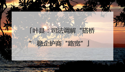 叶县：司法调解“搭桥” 稳企护商“路宽”