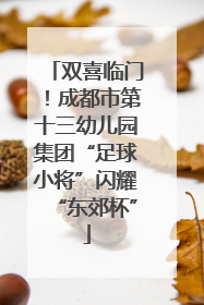 双喜临门！成都市第十三幼儿园集团“足球小将”闪耀“东郊杯”