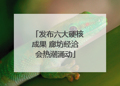 发布六大硬核成果 廊坊经洽会热潮涌动