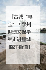 古城“寻宝”！泉州世遗文保学堂走进鲤城临江街道
