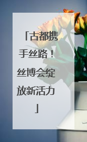 古都携手丝路！丝博会绽放新活力