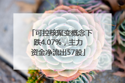 可控核聚变概念下跌4.07%，主力资金净流出57股