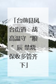 台前县凤台街道：战高温守“粮”辰 禁烧保收多管齐下