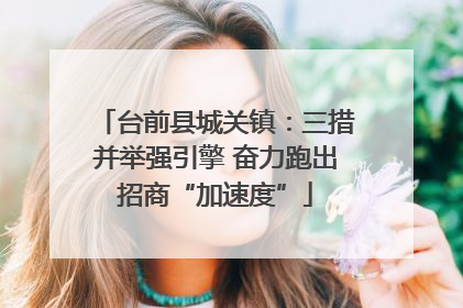 台前县城关镇：三措并举强引擎 奋力跑出招商“加速度”