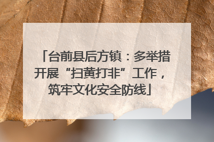 台前县后方镇：多举措开展“扫黄打非”工作，筑牢文化安全防线
