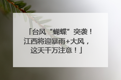 台风“蝴蝶”突袭！江西将迎暴雨+大风，这天千万注意！