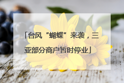 台风“蝴蝶”来袭，三亚部分商户暂时停业