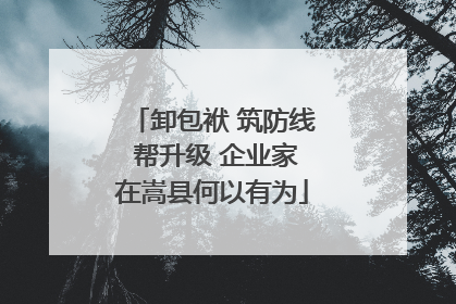 卸包袱 筑防线 帮升级 企业家在嵩县何以有为