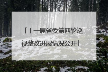 十一届省委第四轮巡视整改进展情况公开