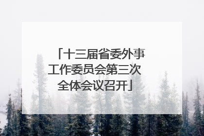 十三届省委外事工作委员会第三次全体会议召开