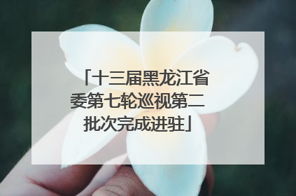 十三届黑龙江省委第七轮巡视第二批次完成进驻