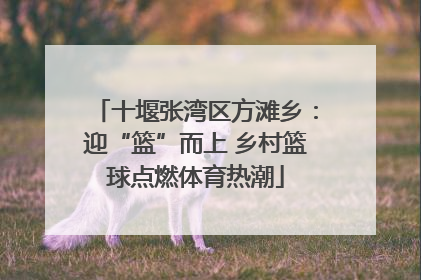 十堰张湾区方滩乡:迎“篮”而上 乡村篮球点燃体育热潮