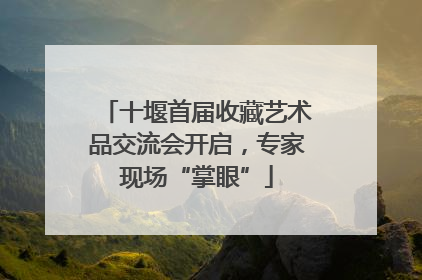 十堰首届收藏艺术品交流会开启，专家现场“掌眼”
