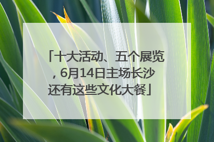 十大活动、五个展览，6月14日主场长沙还有这些文化大餐