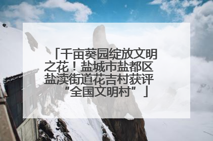 千亩葵园绽放文明之花！盐城市盐都区盐渎街道花吉村获评“全国文明村”