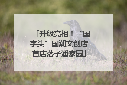 升级亮相！“国字头”国潮文创店首店落子潘家园