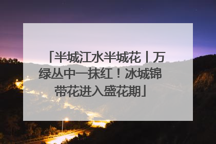 半城江水半城花丨万绿丛中一抹红！冰城锦带花进入盛花期