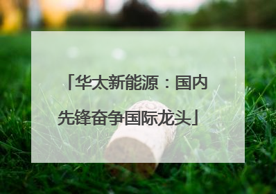 华太新能源：国内先锋奋争国际龙头