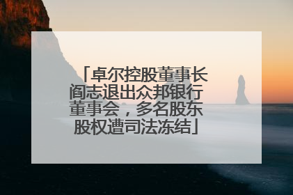 卓尔控股董事长阎志退出众邦银行董事会，多名股东股权遭司法冻结