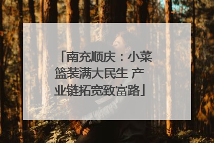 南充顺庆：小菜篮装满大民生 产业链拓宽致富路