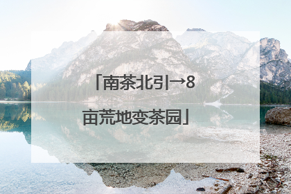 南茶北引→8亩荒地变茶园