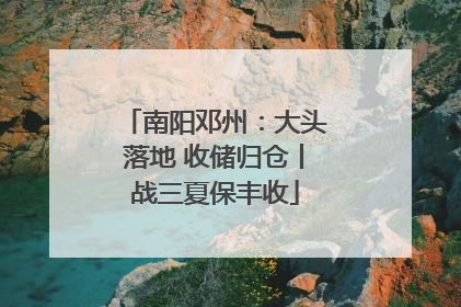 南阳邓州：大头落地 收储归仓丨战三夏保丰收