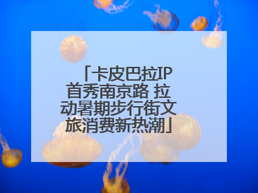 卡皮巴拉IP首秀南京路 拉动暑期步行街文旅消费新热潮