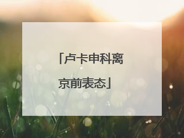 卢卡申科离京前表态