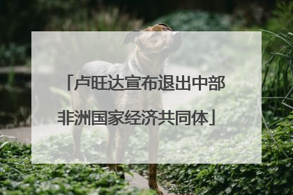 卢旺达宣布退出中部非洲国家经济共同体