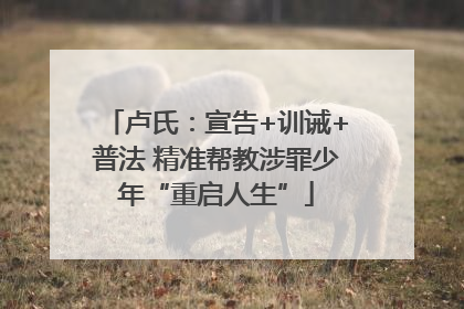 卢氏：宣告+训诫+普法 精准帮教涉罪少年“重启人生”