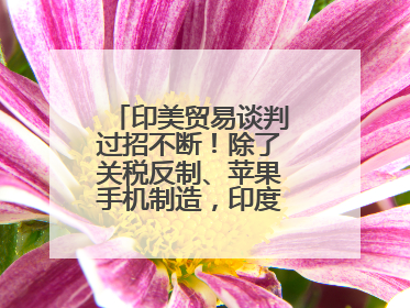 印美贸易谈判过招不断！除了关税反制、苹果手机制造，印度最新要价来了