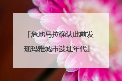 危地马拉确认此前发现玛雅城市遗址年代