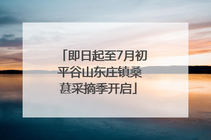即日起至7月初 平谷山东庄镇桑葚采摘季开启