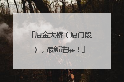 厦金大桥（厦门段），最新进展！