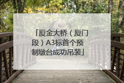 厦金大桥（厦门段）A3标首个预制墩台成功吊装